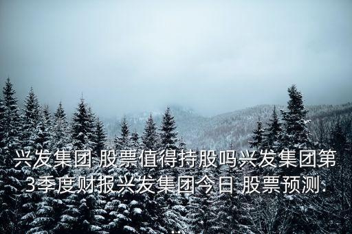 興發(fā)集團 股票值得持股嗎興發(fā)集團第3季度財報興發(fā)集團今日 股票預測...