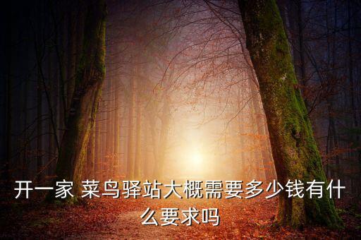 深圳好菜鳥(niǎo)投資,菜鳥(niǎo)需要投資多少錢