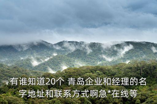 有誰(shuí)知道20個(gè) 青島企業(yè)和經(jīng)理的名字地址和聯(lián)系方式啊急*在線等