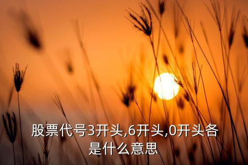  股票代號(hào)3開(kāi)頭,6開(kāi)頭,0開(kāi)頭各是什么意思