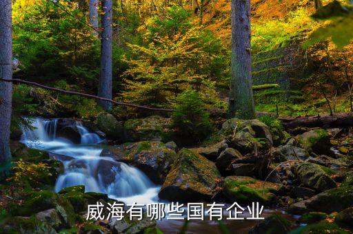 威海有哪些國(guó)有企業(yè)