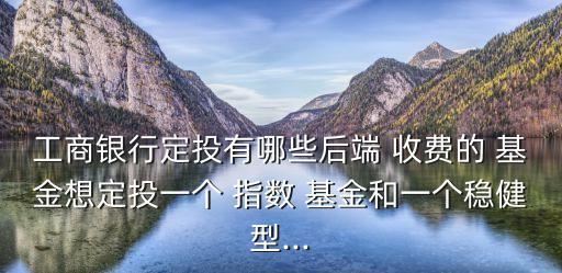 工商銀行定投有哪些后端 收費(fèi)的 基金想定投一個(gè) 指數(shù) 基金和一個(gè)穩(wěn)健型...