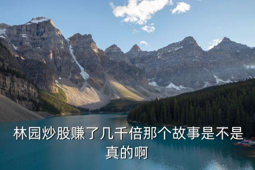  林園炒股賺了幾千倍那個(gè)故事是不是真的啊