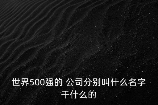 世界500強的 公司分別叫什么名字干什么的