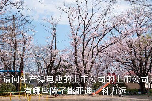 請(qǐng)問生產(chǎn)鎳電池的上市公司的上市公司有哪些除了比亞迪、科力遠(yuǎn)