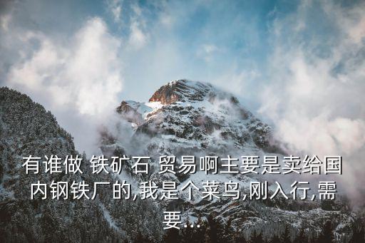 有誰做 鐵礦石 貿(mào)易啊主要是賣給國內(nèi)鋼鐵廠的,我是個菜鳥,剛?cè)胄?需要...