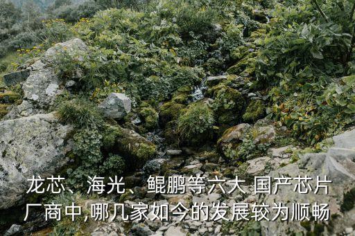  龍芯、海光、鯤鵬等六大 國產(chǎn)芯片廠商中,哪幾家如今的發(fā)展較為順暢