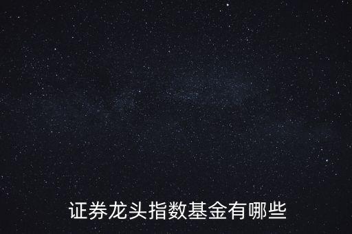  證券龍頭指數(shù)基金有哪些