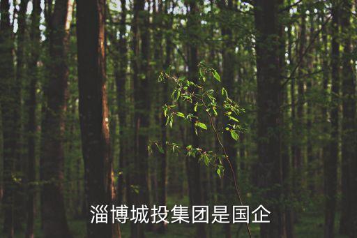  淄博城投集團(tuán)是國企