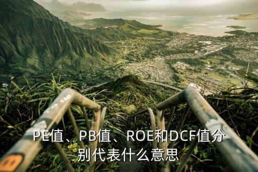 PE值、PB值、ROE和DCF值分別代表什么意思