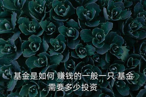  基金是如何 賺錢(qián)的一般一只 基金需要多少投資
