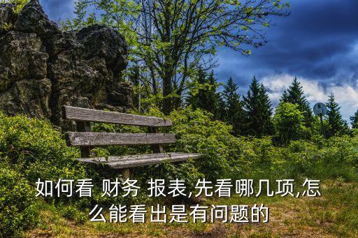 如何看 財(cái)務(wù) 報(bào)表,先看哪幾項(xiàng),怎么能看出是有問題的