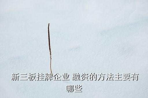 新三板股票質(zhì)押融資,三板股票質(zhì)押交易規(guī)則
