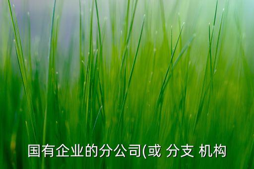 國有企業(yè)的分公司(或 分支 機構(gòu)