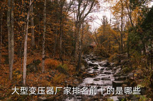 大型變壓器廠(chǎng)家排名前十的是哪些