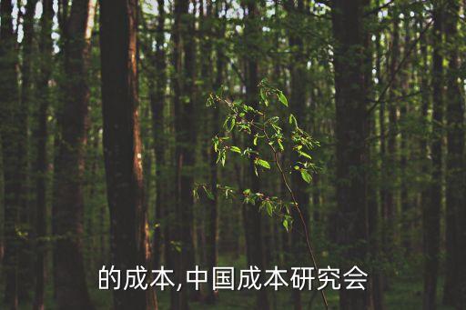 中國(guó)的成本,中國(guó)成本研究會(huì)