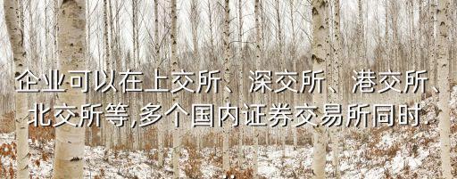 企業(yè)可以在上交所、深交所、港交所、北交所等,多個(gè)國(guó)內(nèi)證券交易所同時(shí)...