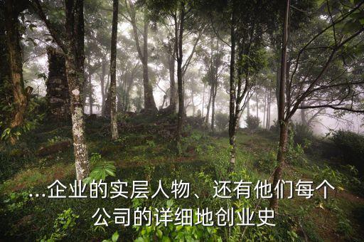 ...企業(yè)的實層人物、還有他們每個 公司的詳細地創(chuàng)業(yè)史
