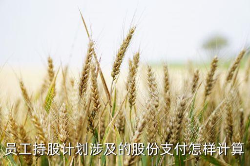 上市公司執(zhí)行企業(yè)會計(jì)準(zhǔn)則監(jiān)管問題解答