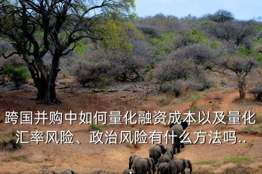 跨國并購中如何量化融資成本以及量化匯率風險、政治風險有什么方法嗎...