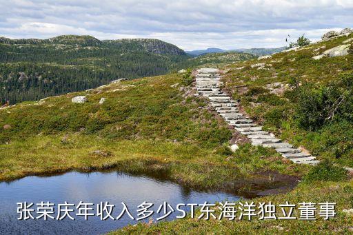 張榮慶年收入多少ST東海洋獨立董事