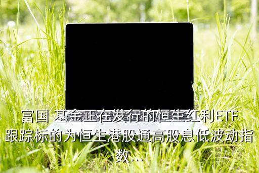 富國 基金正在發(fā)行的恒生紅利ETF跟蹤標(biāo)的為恒生港股通高股息低波動指數(shù)...