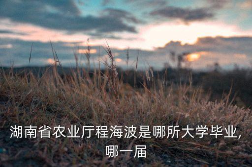 湖南省農(nóng)業(yè)廳程海波是哪所大學畢業(yè),哪一屆