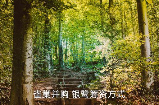 雀巢并購(gòu) 銀鷺籌資方式