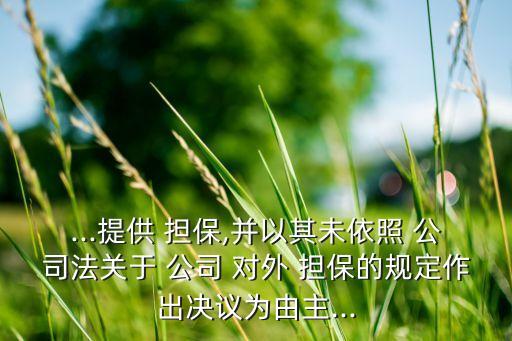 ...提供 擔(dān)保,并以其未依照 公司法關(guān)于 公司 對外 擔(dān)保的規(guī)定作出決議為由主...