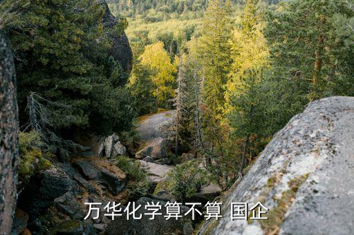 萬華化學算不算 國企