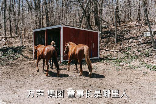 萬(wàn)元集團(tuán)董事長(zhǎng),陜西環(huán)保集團(tuán)董事長(zhǎng)