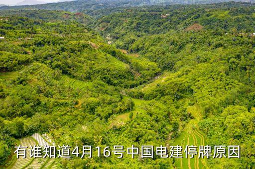有誰知道4月16號(hào)中國(guó)電建停牌原因