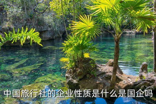 中國(guó)旅行社的企業(yè)性質(zhì)是什么是國(guó)企嗎