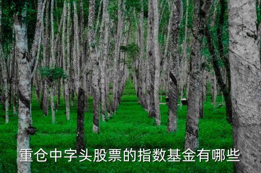 中恒集團(tuán)會有怎樣的股權(quán)之爭