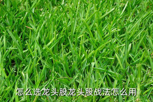 股票2015珠海港千評,股票珠海港今天價(jià)格多少