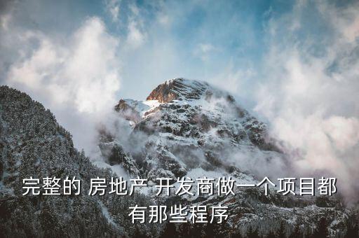 完整的 房地產(chǎn) 開發(fā)商做一個(gè)項(xiàng)目都有那些程序