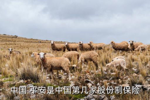 中國(guó) 平安是中國(guó)第幾家股份制保險(xiǎn)