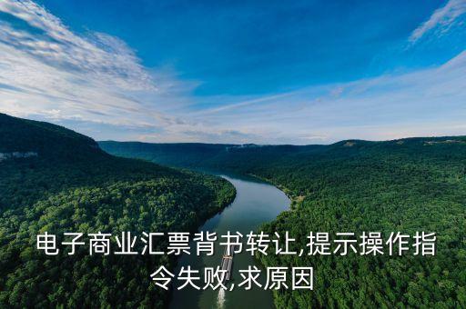  電子商業(yè)匯票背書(shū)轉(zhuǎn)讓,提示操作指令失敗,求原因