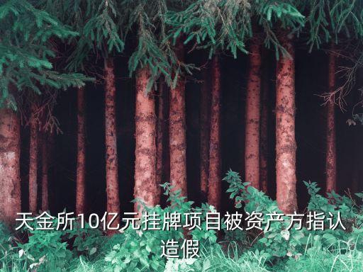 天金所10億元掛牌項目被資產(chǎn)方指認造假