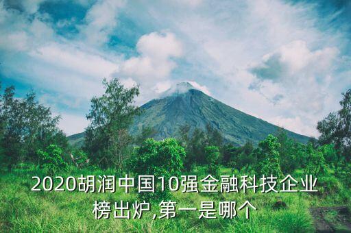 2020胡潤中國10強(qiáng)金融科技企業(yè)榜出爐,第一是哪個