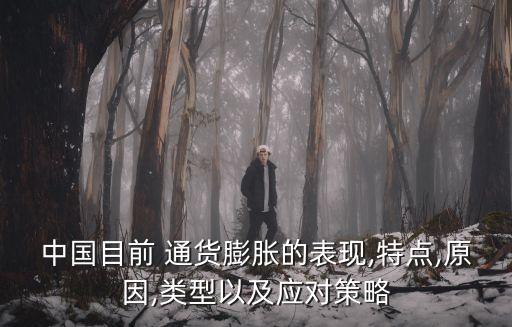 中國目前 通貨膨脹的表現(xiàn),特點,原因,類型以及應對策略