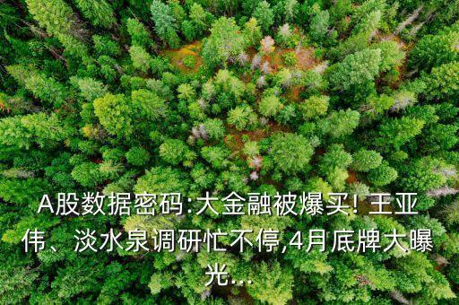 A股數(shù)據(jù)密碼:大金融被爆買! 王亞偉、淡水泉調(diào)研忙不停,4月底牌大曝光...