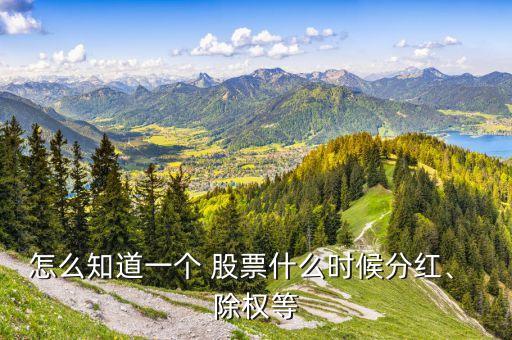 怎么知道一個(gè) 股票什么時(shí)候分紅、 除權(quán)等