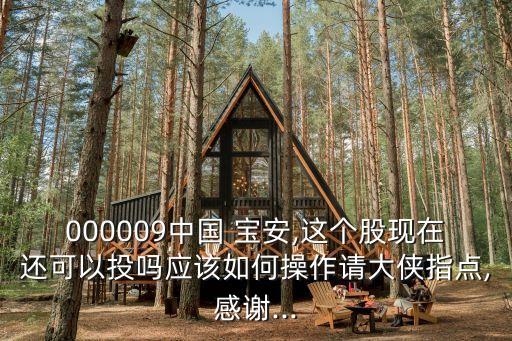 000009中國 寶安,這個股現(xiàn)在還可以投嗎應(yīng)該如何操作請大俠指點,感謝...