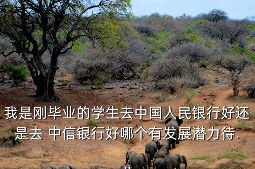 我是剛畢業(yè)的學(xué)生去中國人民銀行好還是去 中信銀行好哪個(gè)有發(fā)展?jié)摿Υ?..