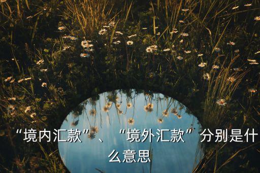 “境內(nèi)匯款”、“境外匯款”分別是什么意思