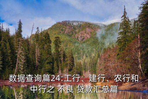 數(shù)據(jù)查詢篇24:工行、建行、農(nóng)行和中行之 不良 貸款匯總篇