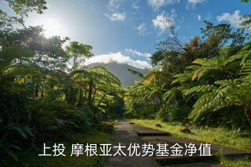 上投 摩根亞太優(yōu)勢(shì)基金凈值
