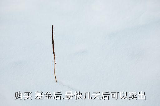 購(gòu)買 基金后,最快幾天后可以賣出
