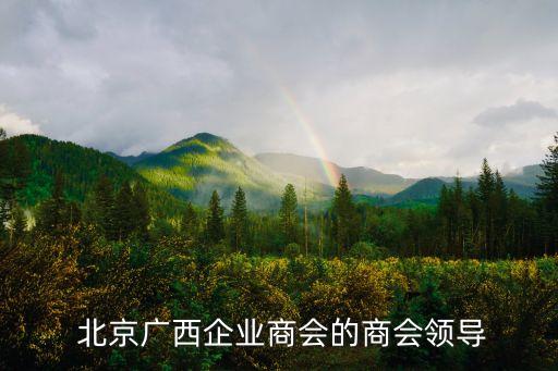 北京天倫投資咨詢(xún)有限公司,河南省天倫投資控股集團(tuán)有限公司